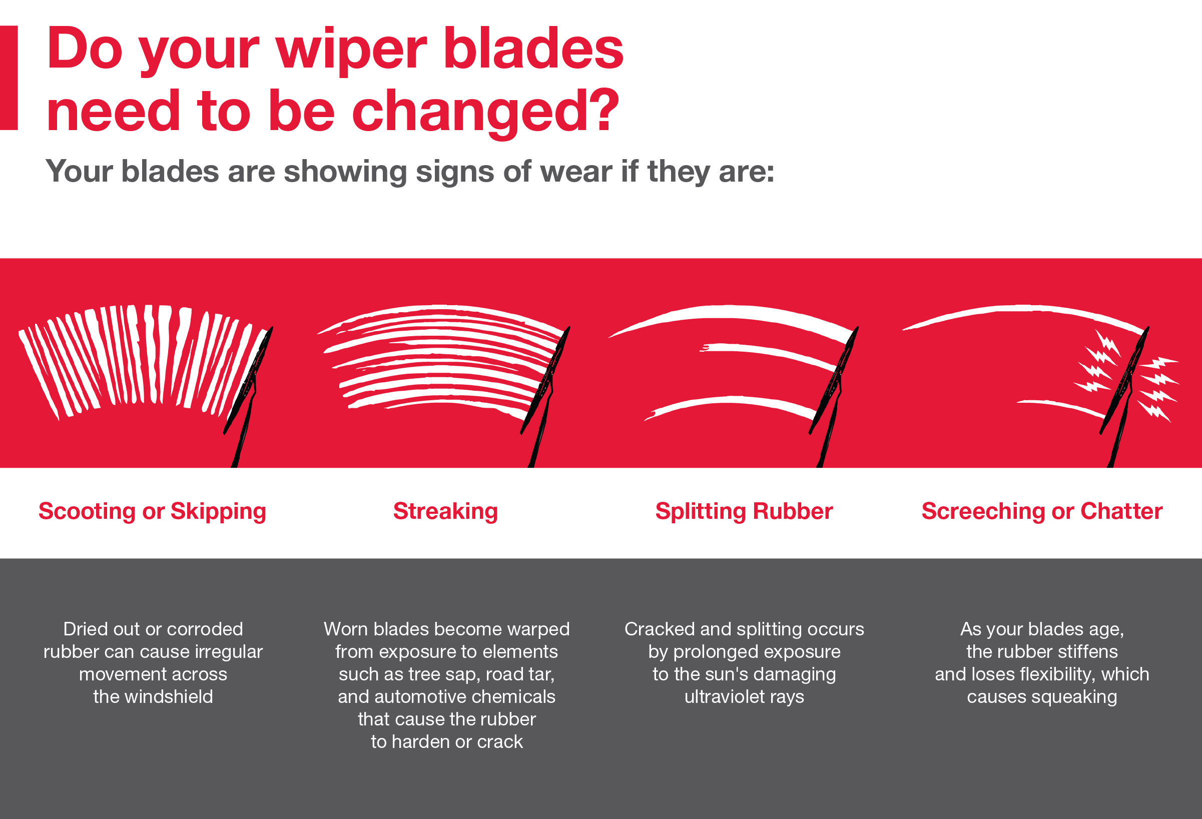 Do your wiper blades need to be changed | Phillips Toyota in Leesburg FL